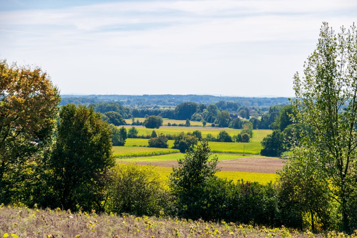 estimer valeur d un terrain non constructible - Qui peut effectuer l’estimation d’un terrain non constructible ?