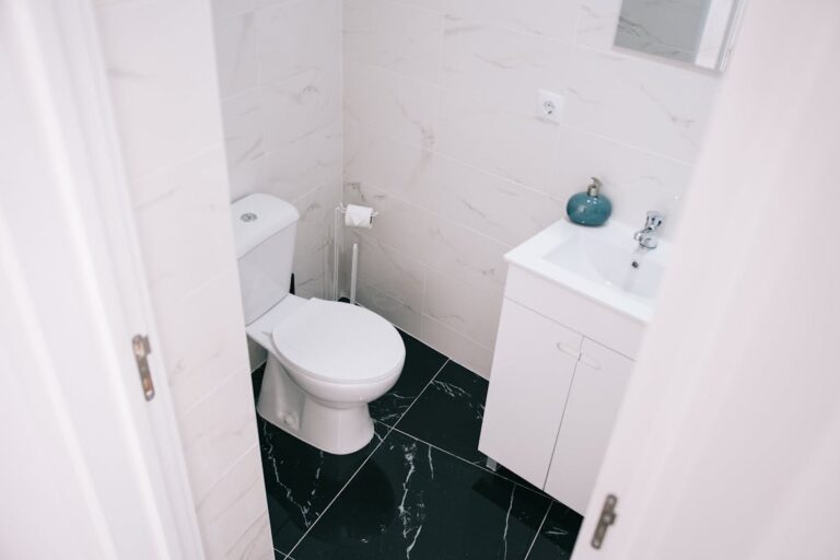 Fuite toilette locataire : obligations, responsabilités et solutions
