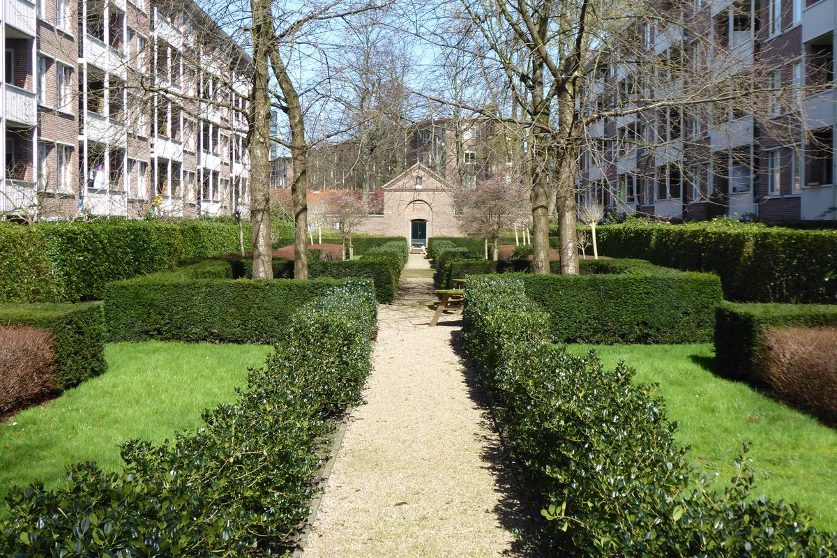 Distances de plantation : haies et arbres du voisin