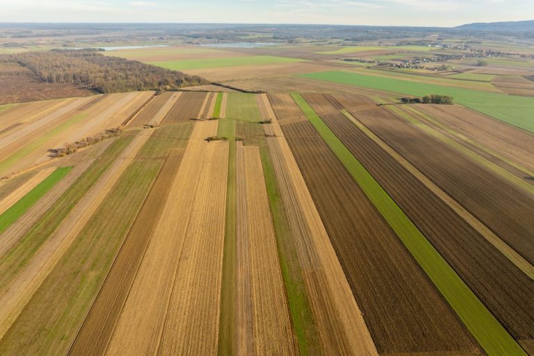 SAFER : préemption sur un terrain agricole, droits et procédure